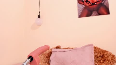 Nicol Villa online show from 01.10.25