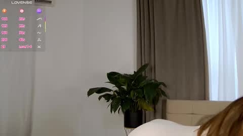 Nicol online show from 02.12.26