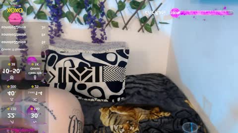 Nicolle ardila online show from 04.11.26