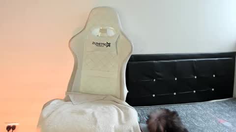 Nicol online show from 12.19.25