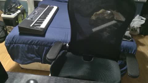 Julian online show from 01.05.25