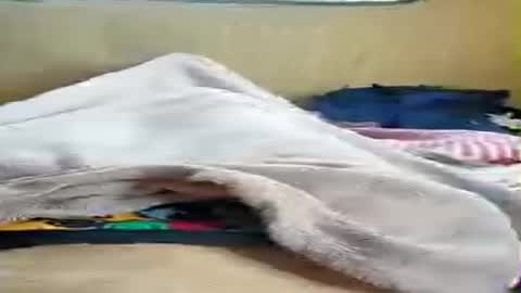 niesmialy89 online show from 07.04.26
