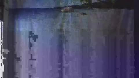 OHB Old Horny Bastard online show from 01.13.25