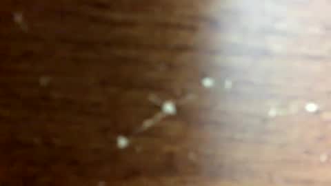 nightmoves1970 online show from 10.14.25