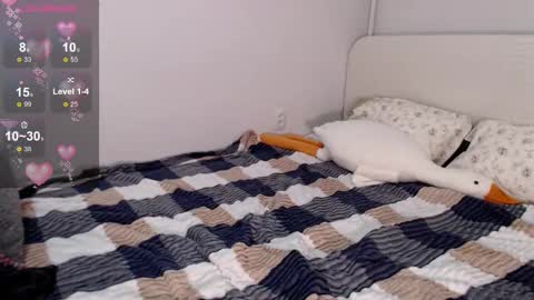 Niia online show from 11.30.25