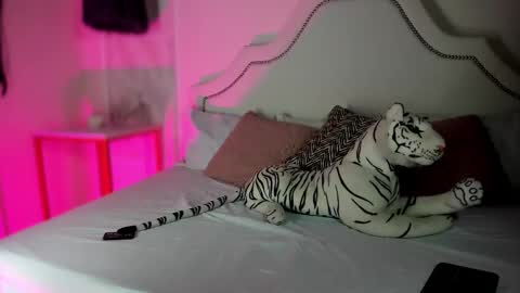 nicole online show from 02.05.26