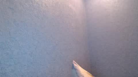 NikayShadow online show from 02.05.25