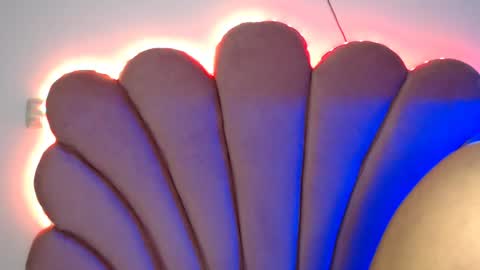    online show from 01.11.25