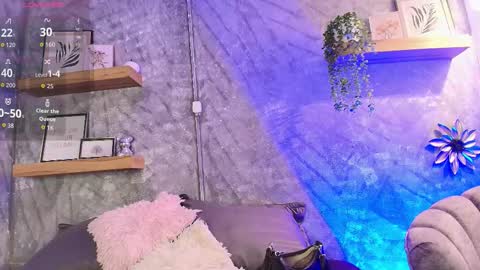    online show from 02.02.26