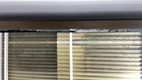 Nikki  online show from 10.14.25