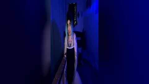Snapshot of nikkineverlands chatting on 07.02.26 Nikki Neverland online show from 07.02.26
