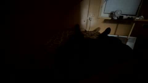 Snapshot of nikolay3032 chatting on 09.20.25 Nikk online show from 09.20.25