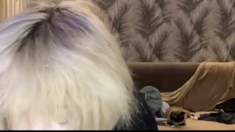nikoli_naw online show from 06.11.26