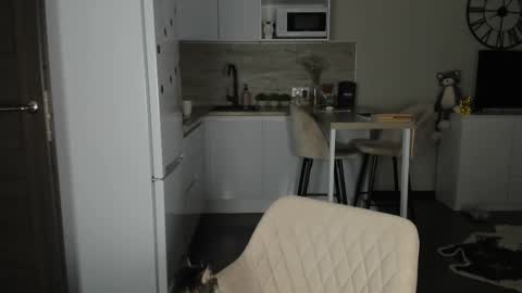 Snapshot of nilliluv chatting on 02.21.26 Bella online show from 02.21.26