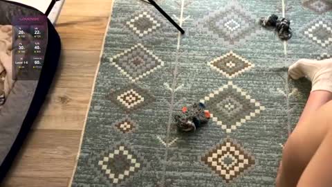 Jennet online show from 12.02.24