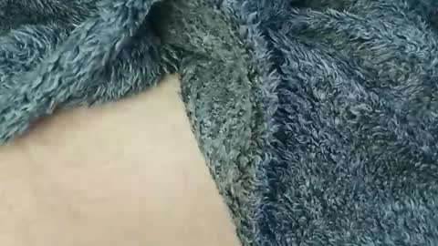 nineinchhard online show from 02.24.26