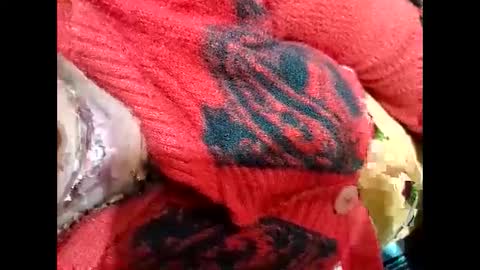 Nisha online show from 01.03.25