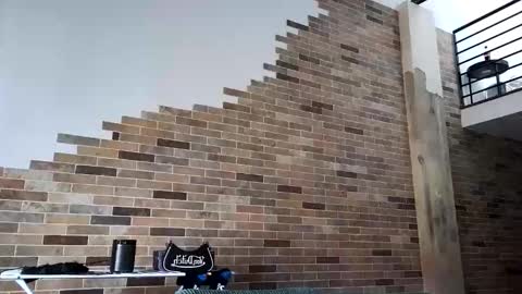 NIVIA WOLFE online show from 03.17.26