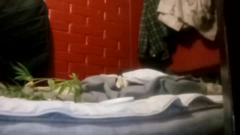 nocturnus1980 online show from 09.23.25