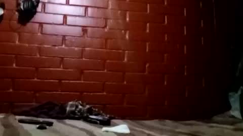 Snapshot of nocturnus1980 chatting on 02.02.26 nocturnus1980 online show from 02.02.26