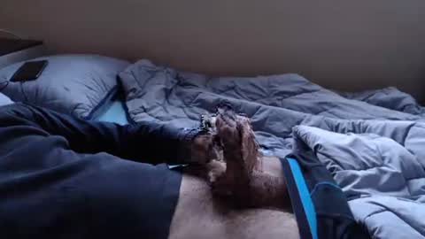 noksha online show from 01.19.25