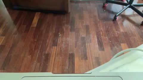 Archangel online show from 04.25.26