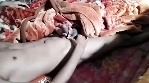 sim  nib online show from 01.28.25