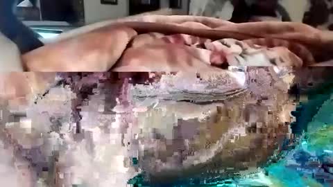 sim  nib online show from 03.01.25