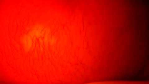 Snapshot of norbitomii chatting on 09.24.25 norbitomii online show from 09.24.25