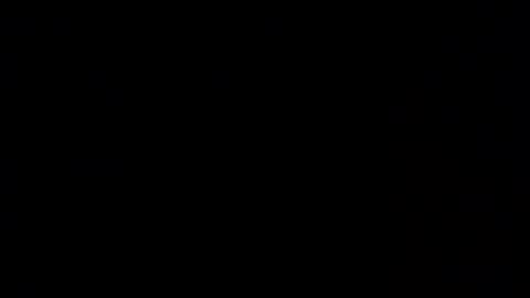 not face online show from 12.02.25