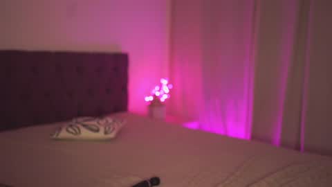 Snapshot of notamericanpie23 chatting on 01.31.25 Tina online show from 01.31.25