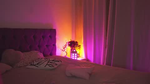 Snapshot of notamericanpie23 chatting on 02.13.25 Tina online show from 02.13.25