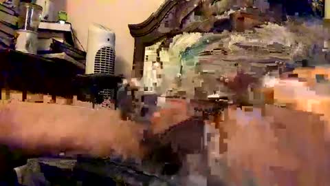 nothingclever1003 online show from 01.16.25