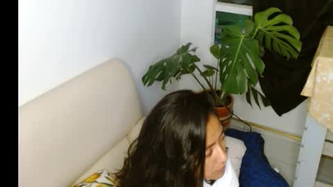 novaperotti online show from 10.25.25