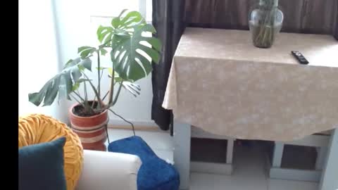 novaperotti online show from 11.05.25