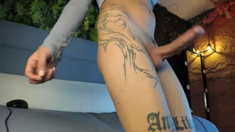 Novi online show from 11.19.25