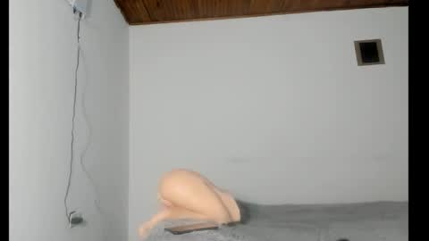 nreus online show from 10.08.25