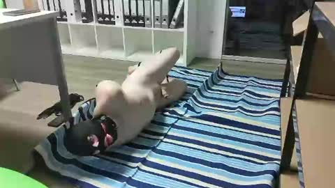 Snapshot of numlove chatting on 02.18.25 Slave for Mistress and Master online show from 02.18.25