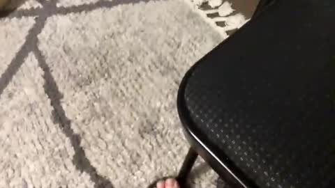 nursesteve online show from 11.01.25