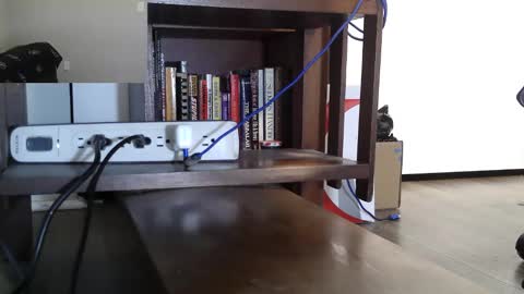 Nyctophilic online show from 04.10.26