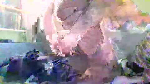 NYlonloversFFM online show from 01.17.26