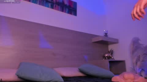 Nyx Shadow online show from 02.08.25