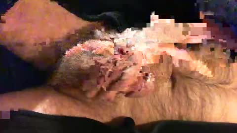 o269x2 online show from 11.09.25