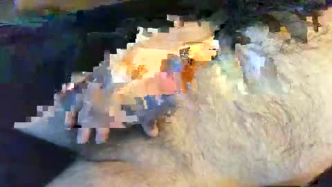o269x2 online show from 05.30.26