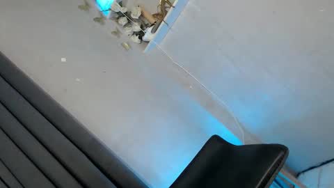 obeymycurves online show from 01.11.26