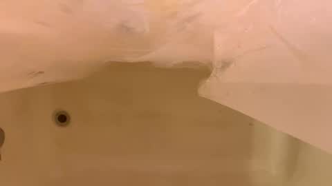 Odin Stone online show from 01.06.26