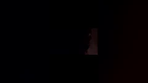 official1337 online show from 04.07.26