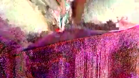 ohlalamama13 online show from 03.17.26