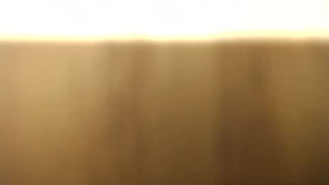 okoro1212 online show from 11.28.25