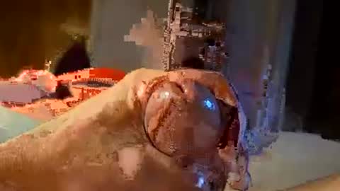 oldermtl online show from 07.11.26